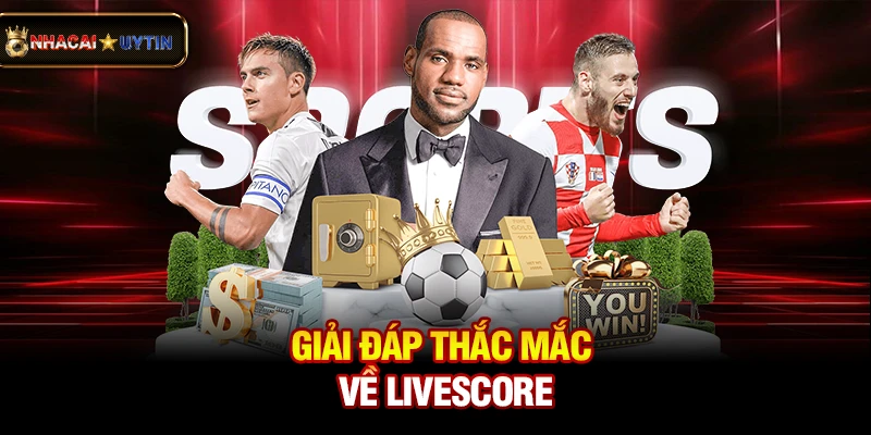 Livescore - Cập Nhật Tỷ Số Bóng Đá Trực Tuyến Nhanh Và Chính Xác 15 Giải đáp thắc mắc về livescore
