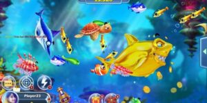 tai-ban-ca